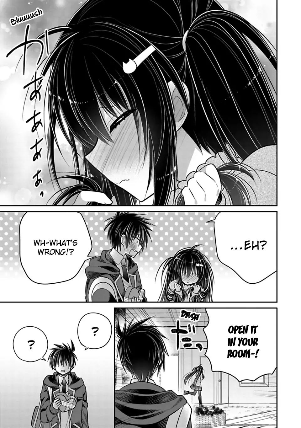 Siscon Ani to Brocon Imouto ga Shoujiki ni Nattara Chapter 39 - Page 11