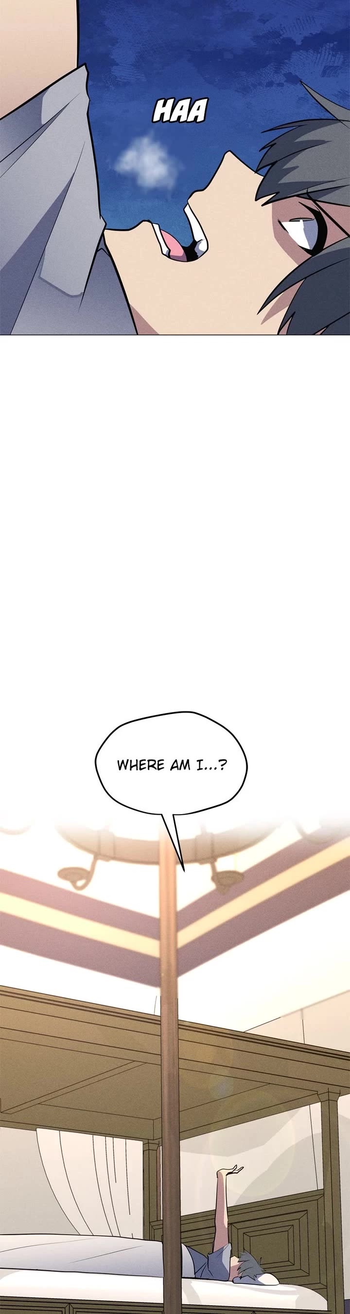 Solo Spell Caster Chapter 202 - Page 9