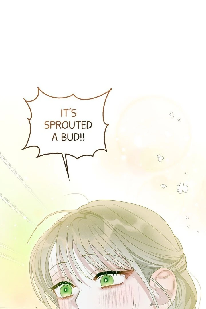 Sorang’s Flower Art Shop Chapter 15 - Page 7
