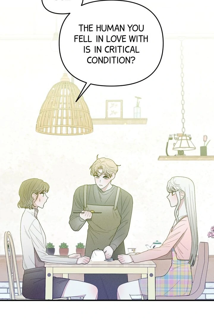 Sorang’s Flower Art Shop Chapter 24 - Page 13