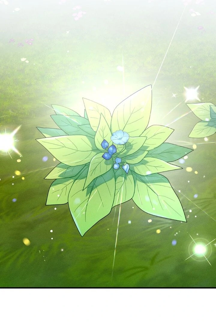 Sorang’s Flower Art Shop Chapter 25 - Page 79