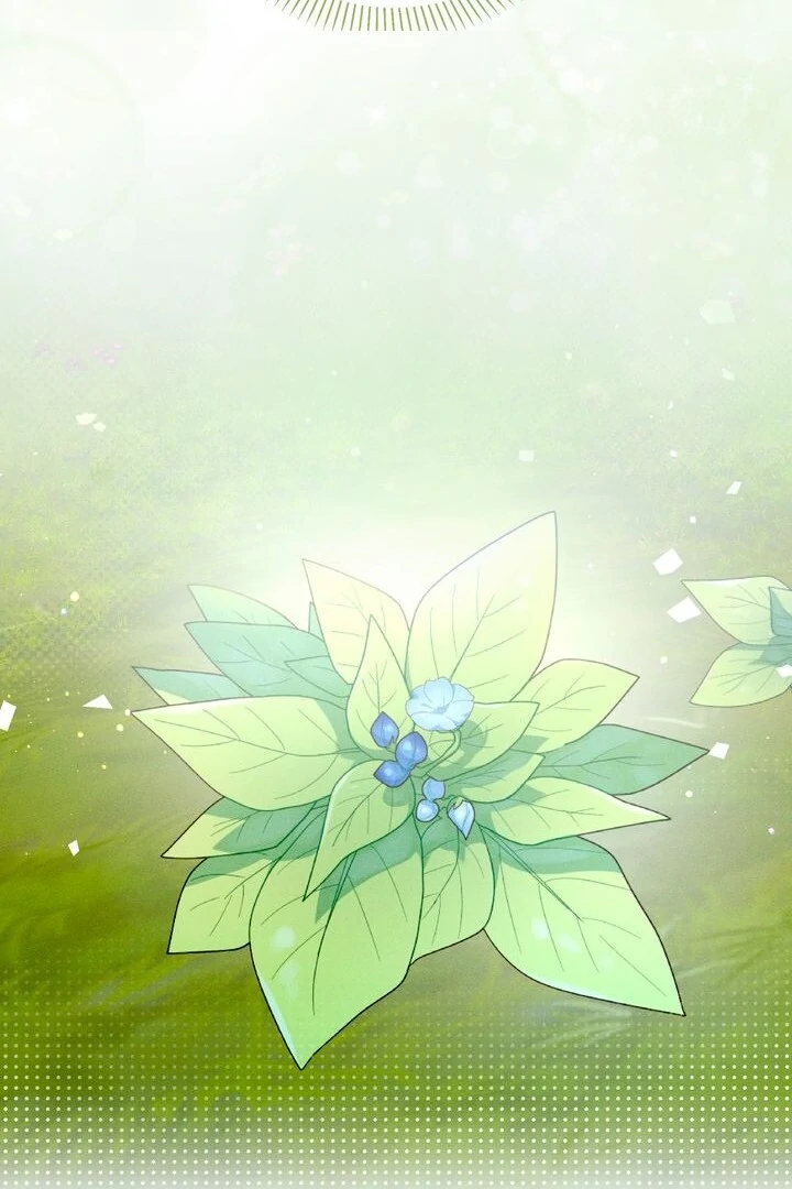 Sorang’s Flower Art Shop Chapter 25 - Page 85