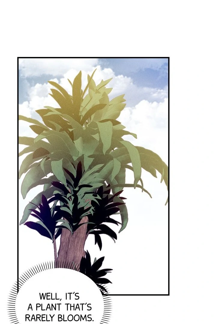 Sorang’s Flower Art Shop Chapter 8 - Page 51