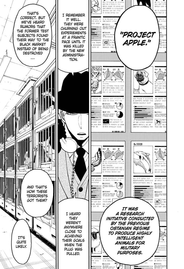 Spy x Family Chapter 19 - Page 6