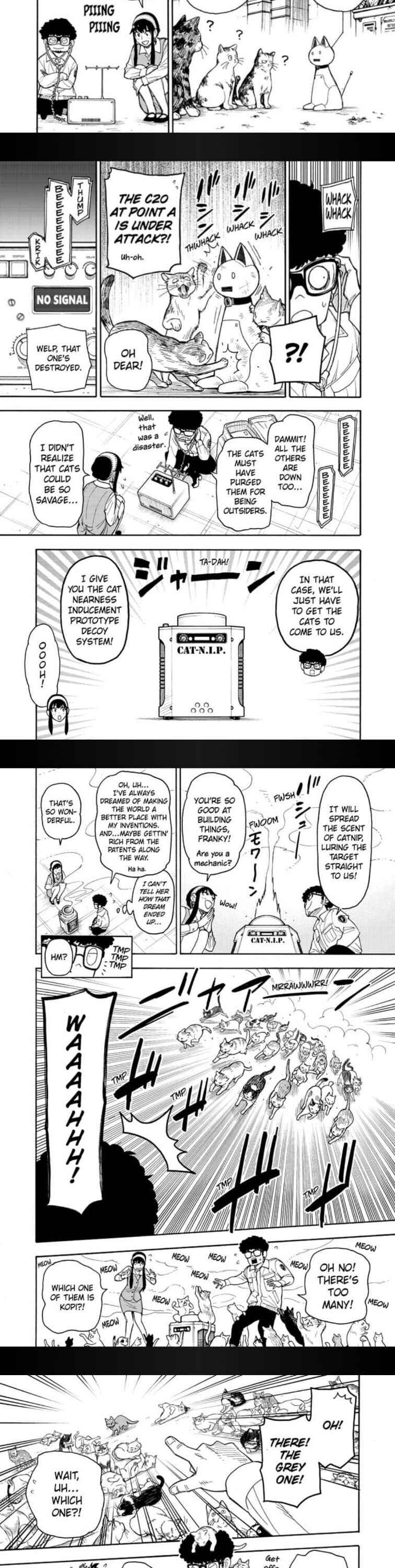 Spy x Family Chapter 43 - Page 3