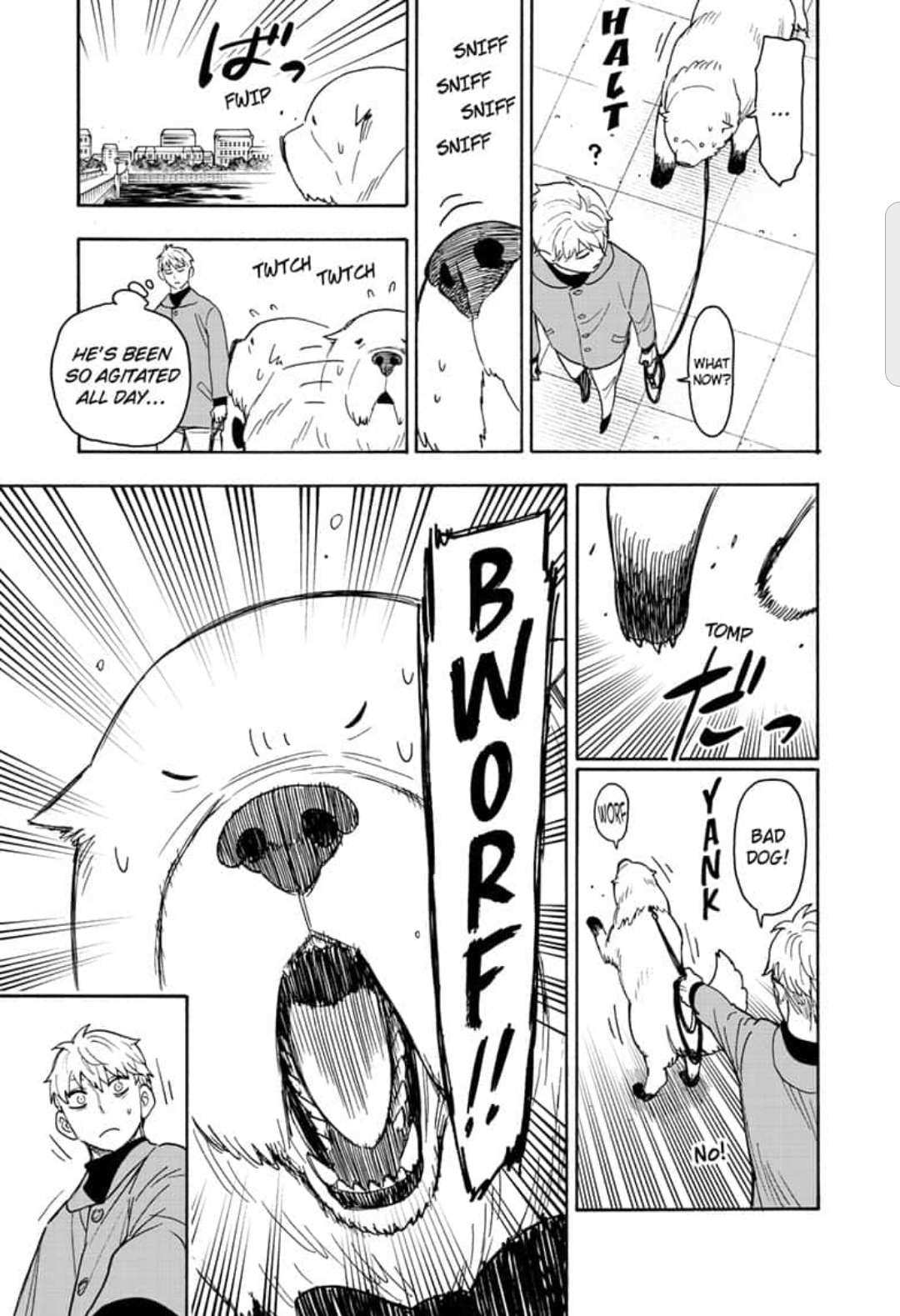 Spy x Family Chapter 58.1 - Page 12