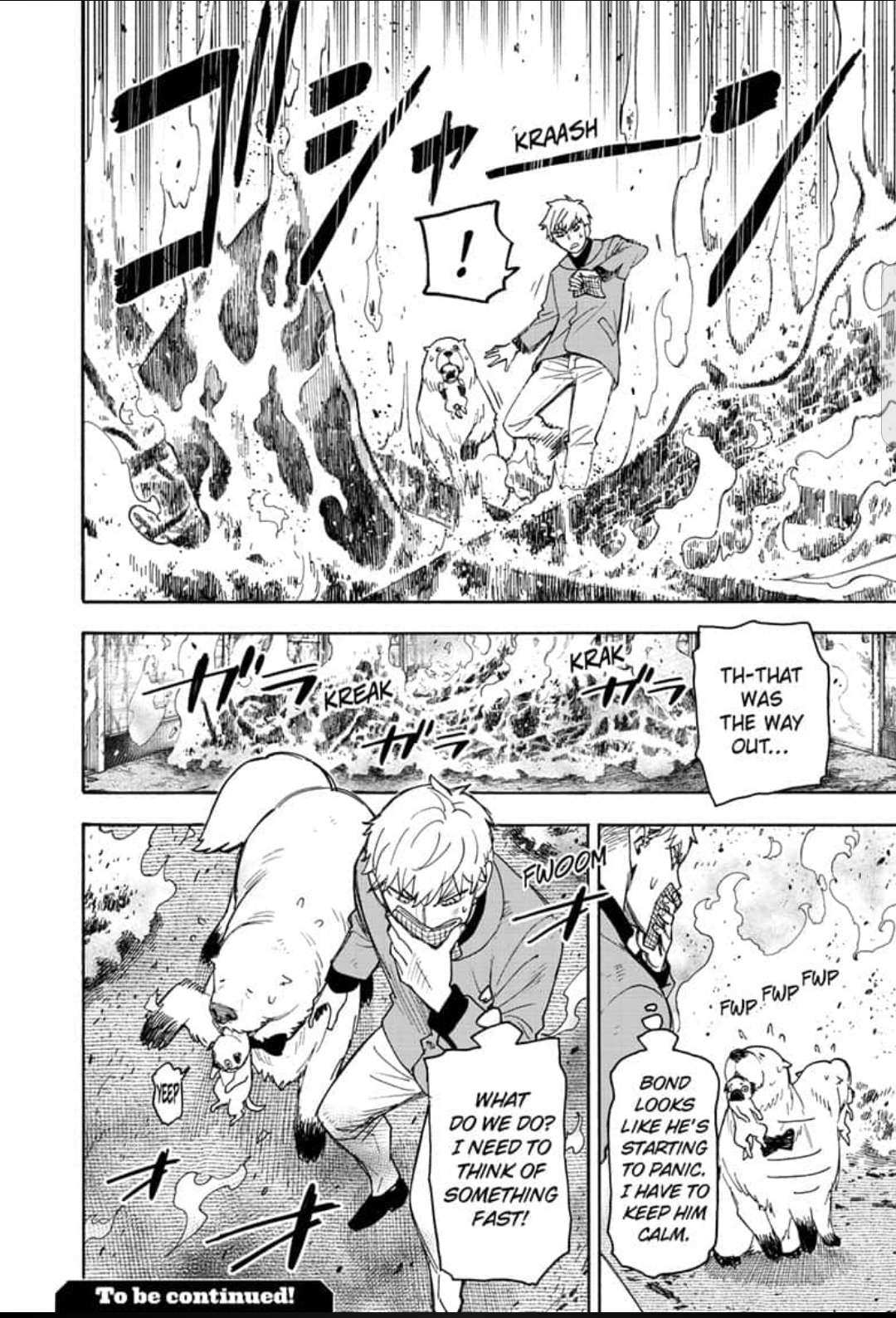 Spy x Family Chapter 58.1 - Page 17