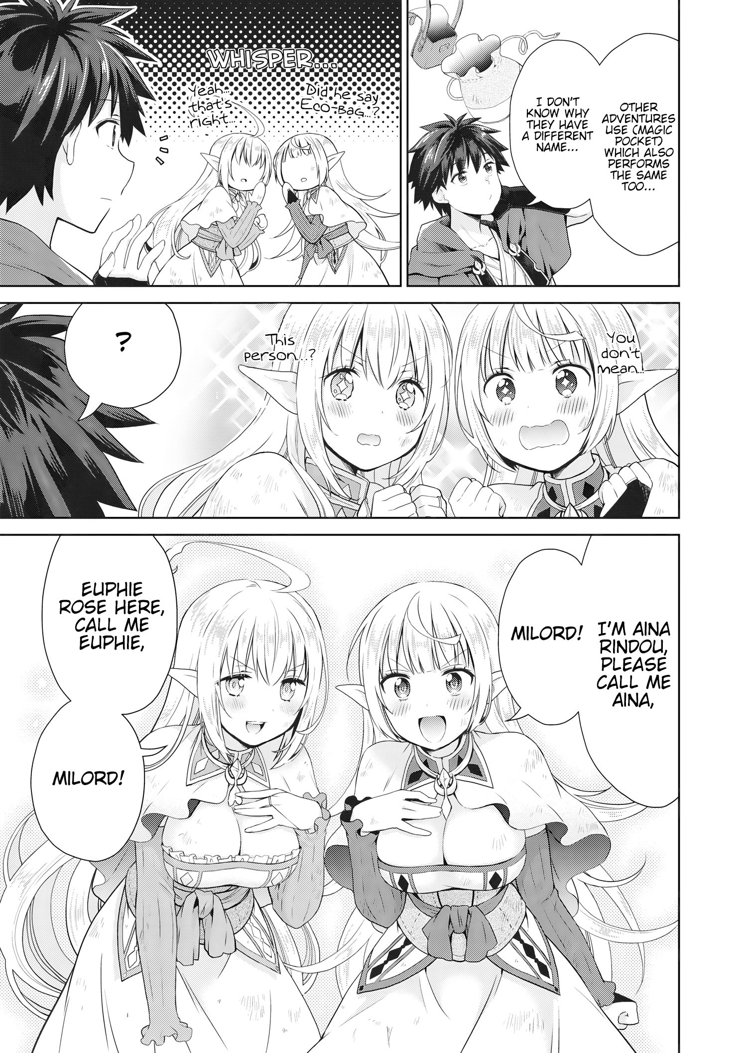 Stop Labeling Me as a Hero or Overlord Without Permission! ~It Seems My Role Is So Great That Both the Elves and the King Bow Down~ Chapter 1 - Page 11