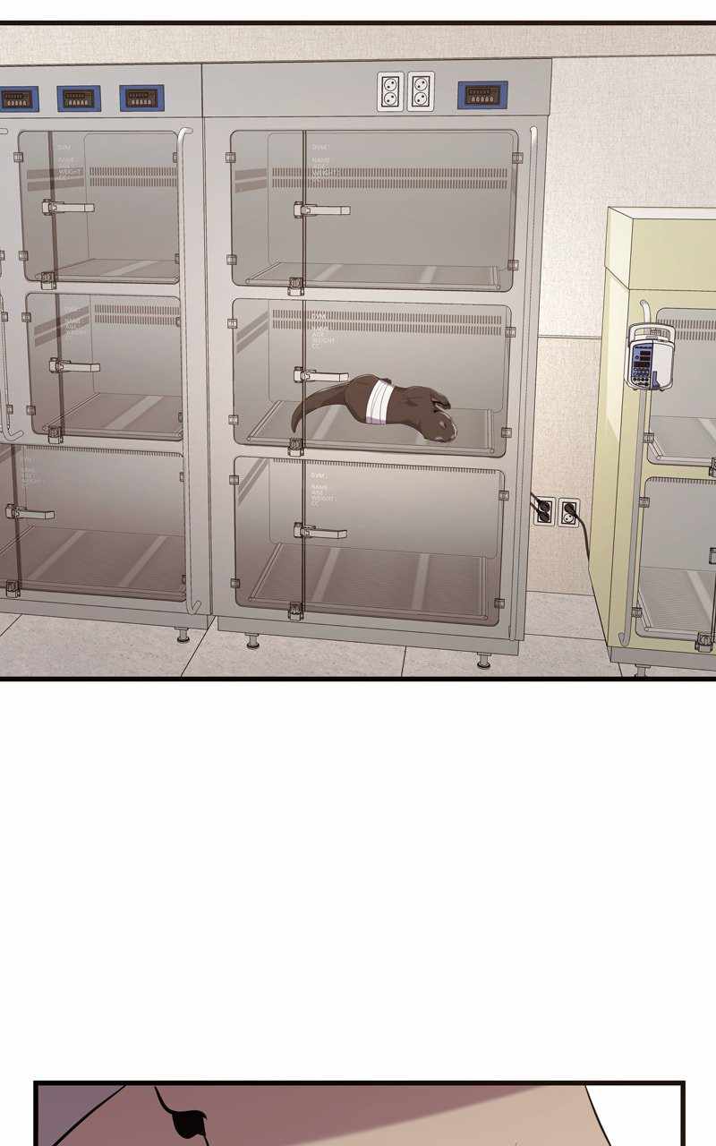 Surviving as a Fish Chapter 60 - Page 56