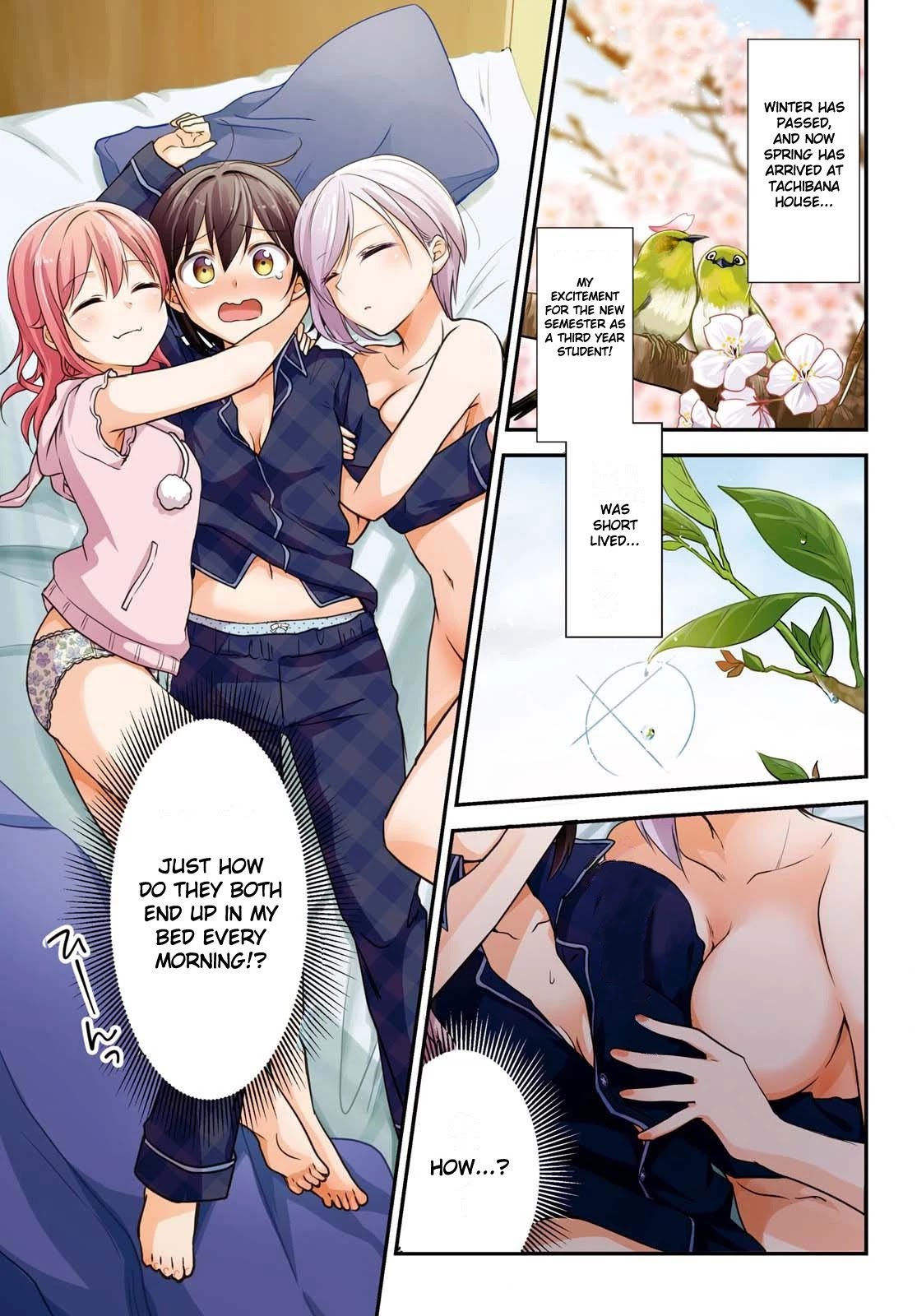 Tachibanakan Triangle Chapter 34 - Page 1