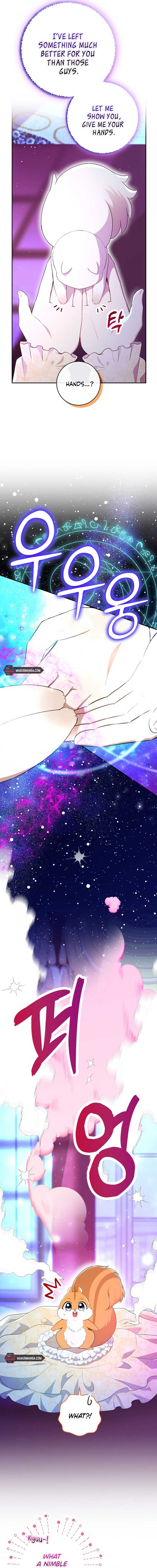 Talented Baby Squirrel Chapter 74 - Page 3