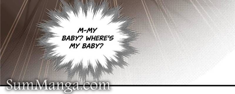 Taming The Beasts With Multi-Pregnancy System Chapter 12 - Page 24