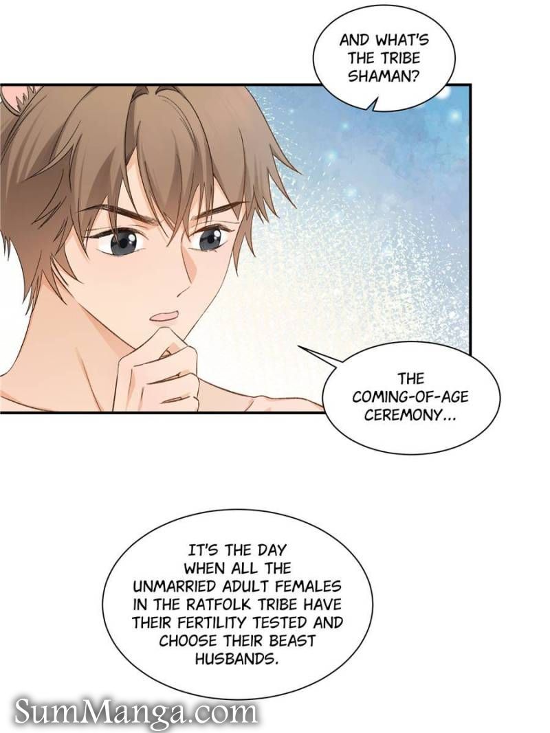 Taming The Beasts With Multi-Pregnancy System Chapter 4 - Page 14