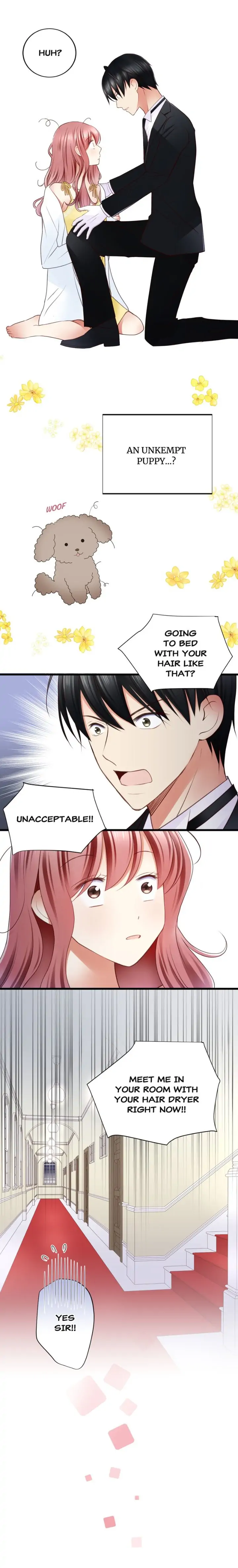 Teach Me, Mr. Sadistic Butler Chapter 8 - Page 12