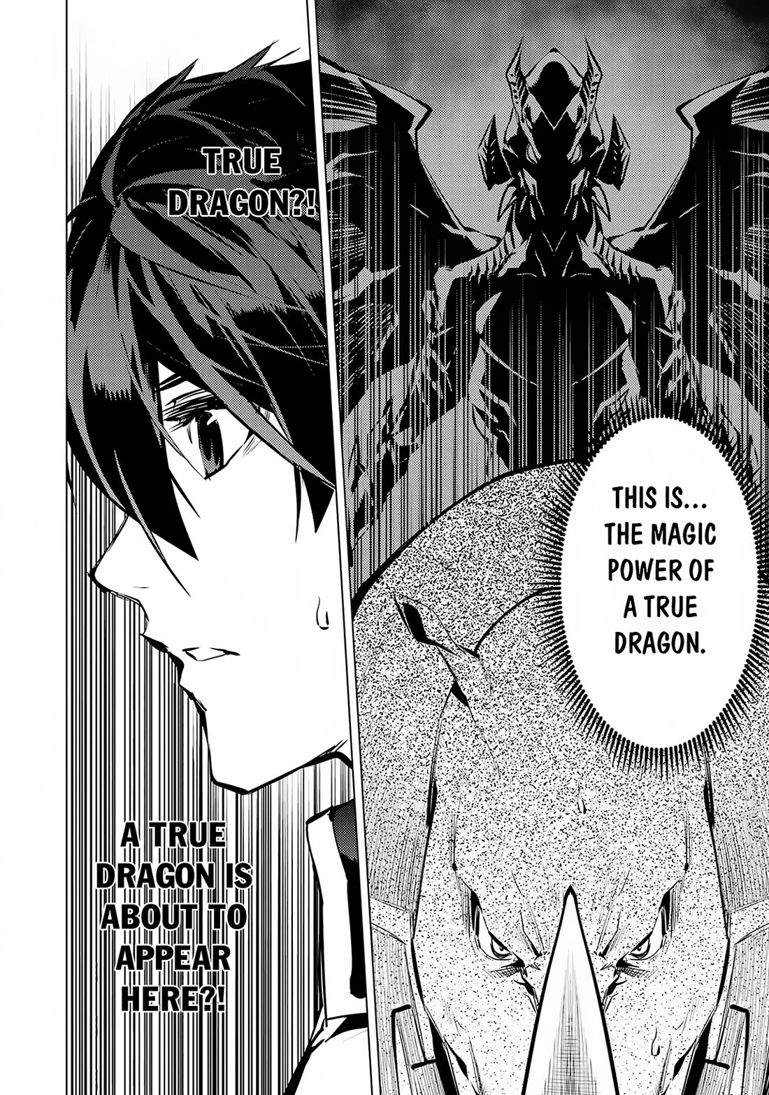 Tensei Kenja no Isekai Raifu ~Daini no Shokugyo wo Ete, Sekai Saikyou ni Narimashita~ Chapter 66 - Page 8