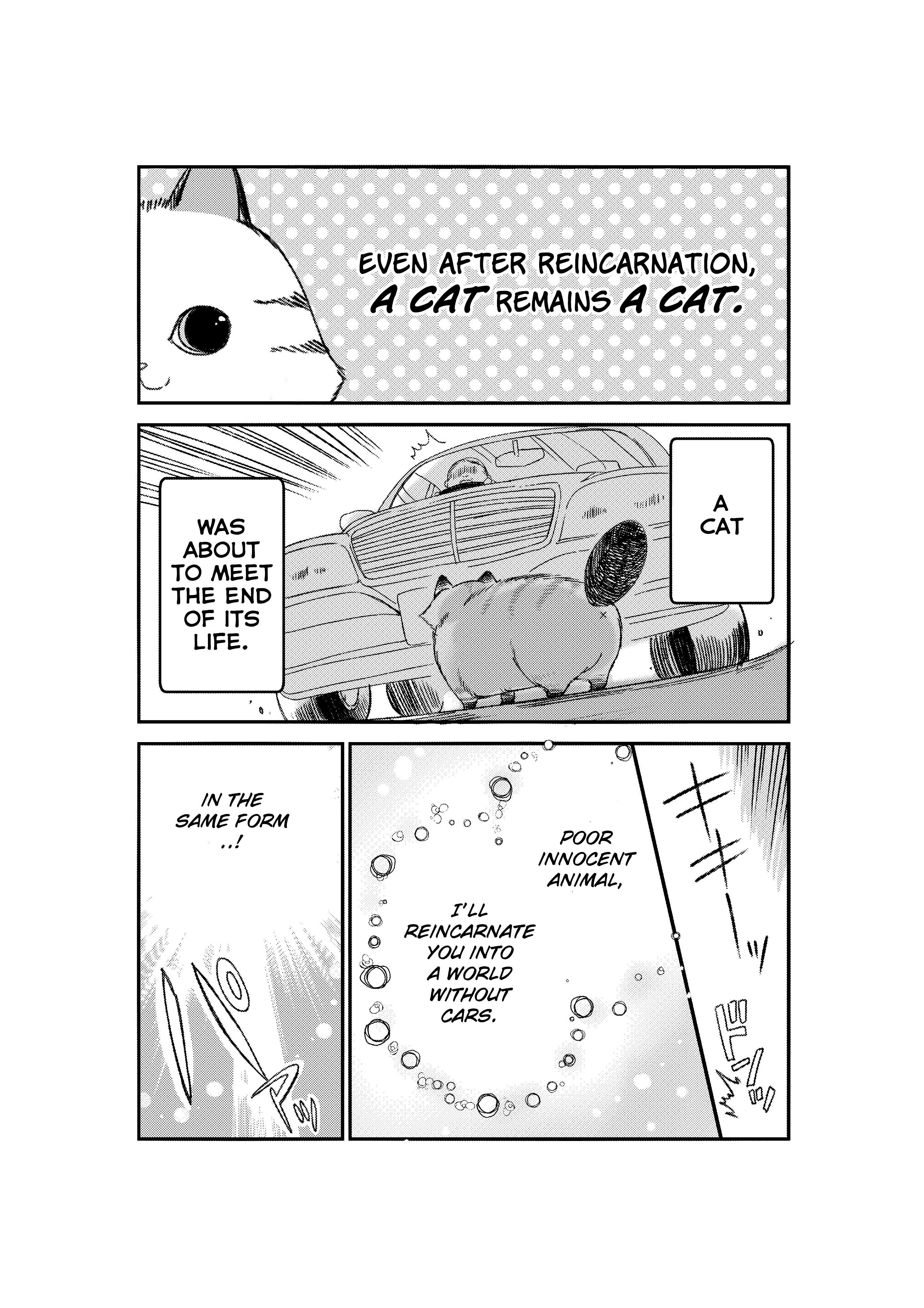 Tensei Shite mo Neko wa Neko Chapter 1 - Page 1