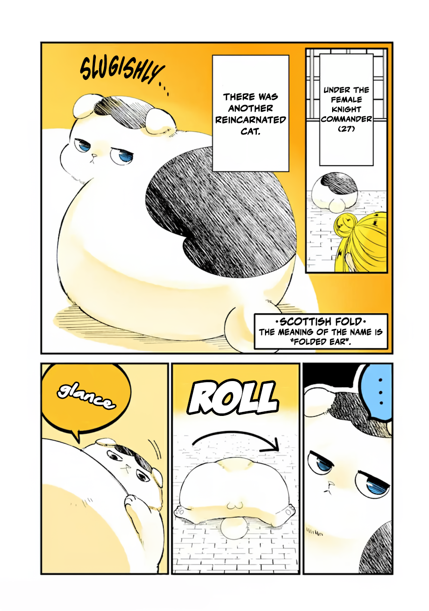 Tensei Shite mo Neko wa Neko Chapter 14 - Page 3