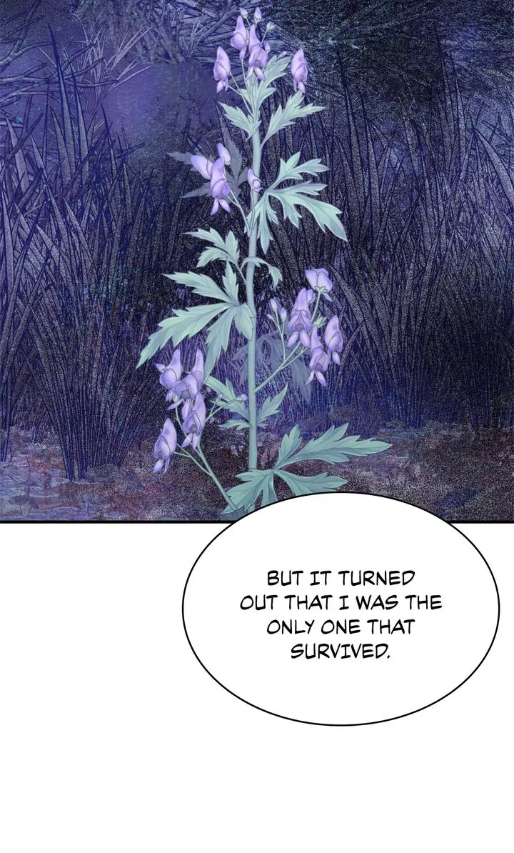 Terrarium Adventure Chapter 47 - Page 75