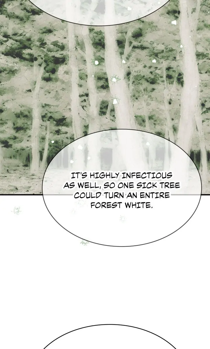 Terrarium Adventure Chapter 69 - Page 63