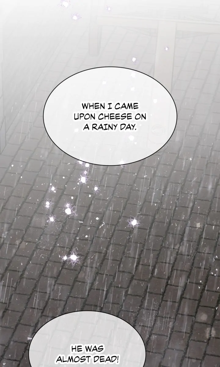 Terrarium Adventure Chapter 71 - Page 21
