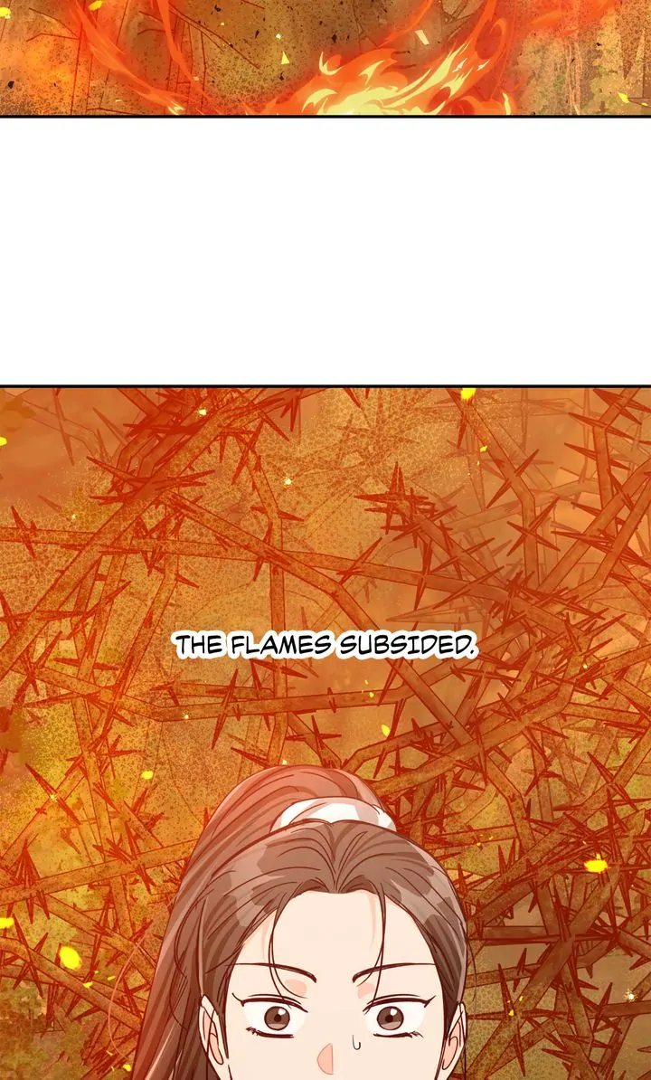 Terrarium Adventure Chapter 88 - Page 5