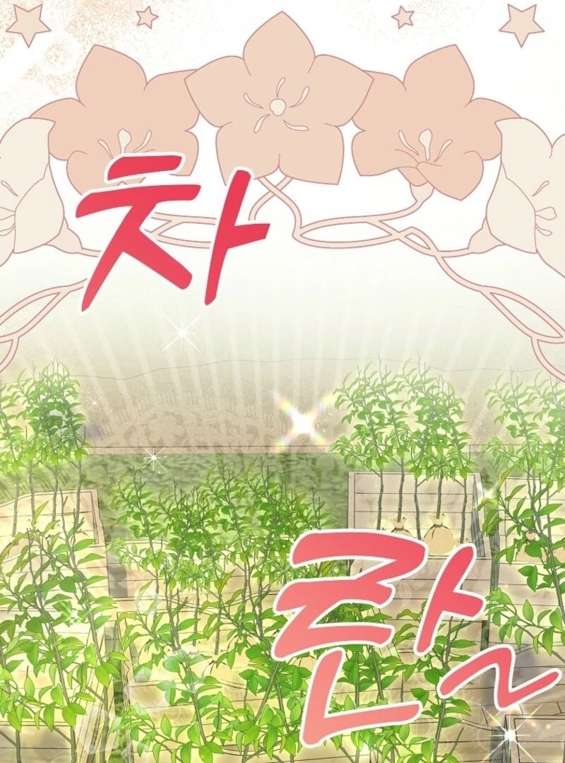 The Adopted Daughter-in-Law Wants to Leave Chapter 100 - Page 116