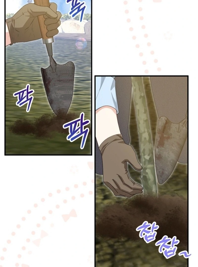 The Adopted Daughter-in-Law Wants to Leave Chapter 100 - Page 36