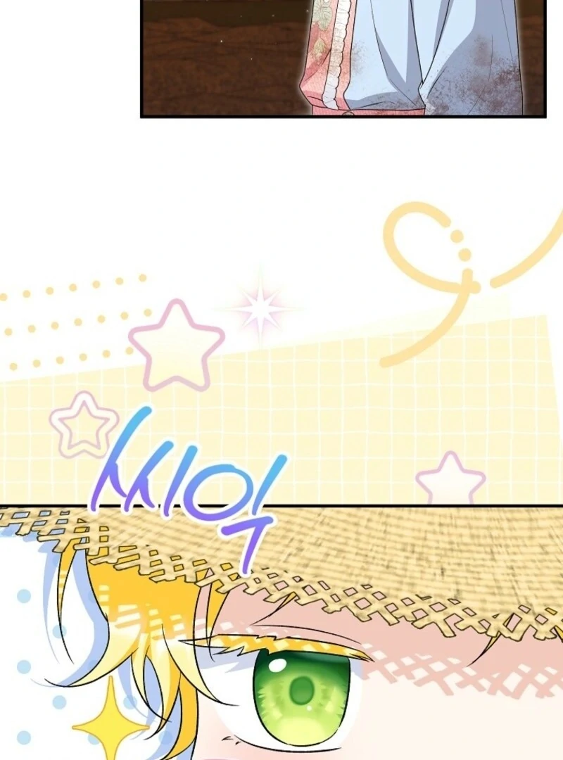 The Adopted Daughter-in-Law Wants to Leave Chapter 100 - Page 75