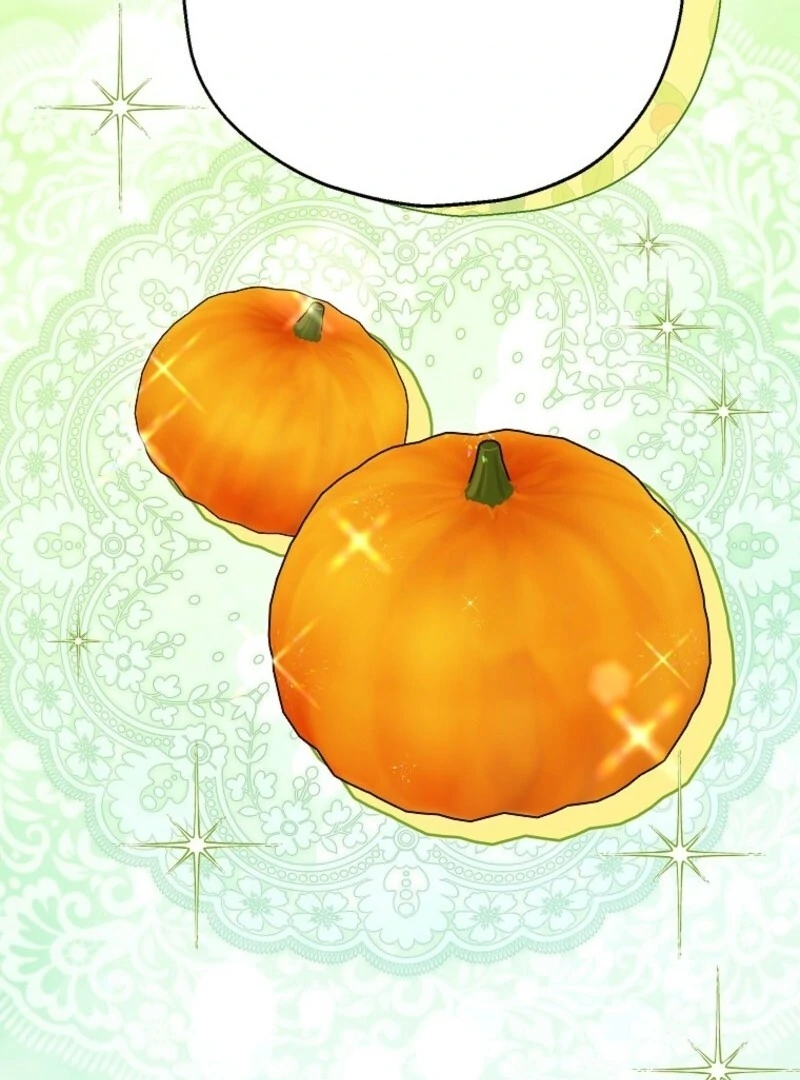 The Adopted Daughter-in-Law Wants to Leave Chapter 101 - Page 46