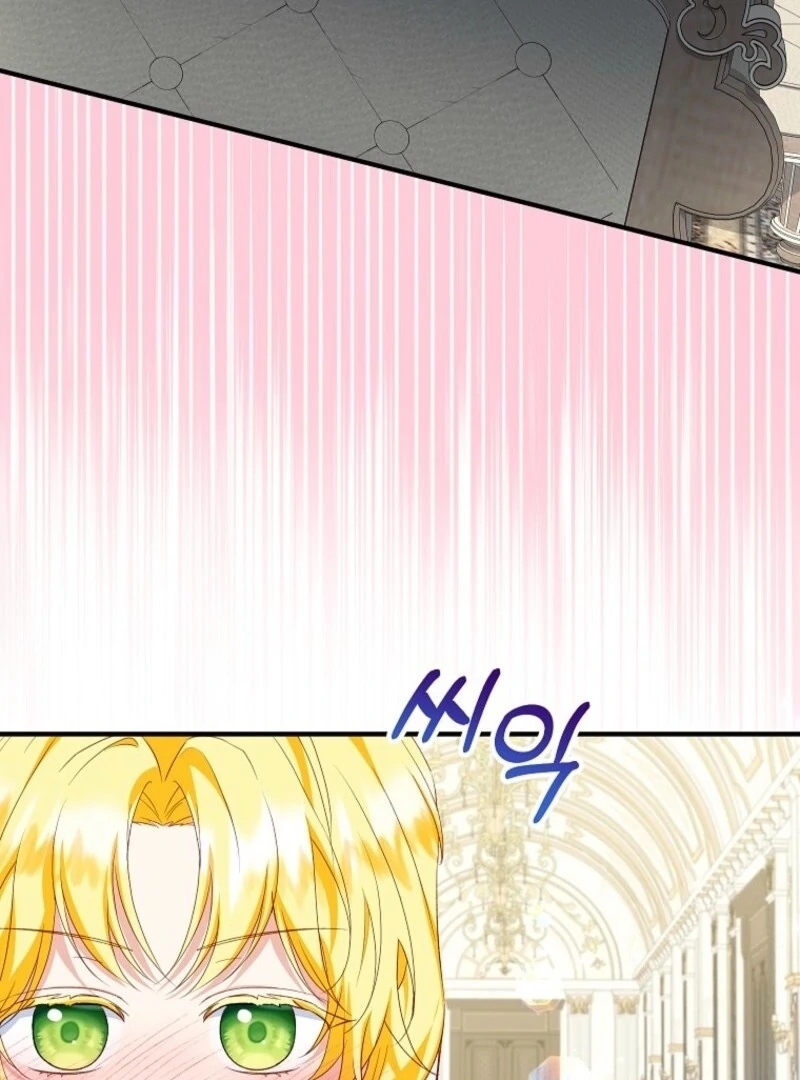 The Adopted Daughter-in-Law Wants to Leave Chapter 102 - Page 4