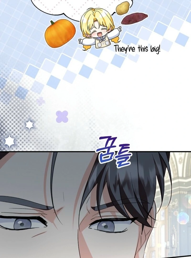 The Adopted Daughter-in-Law Wants to Leave Chapter 102 - Page 39