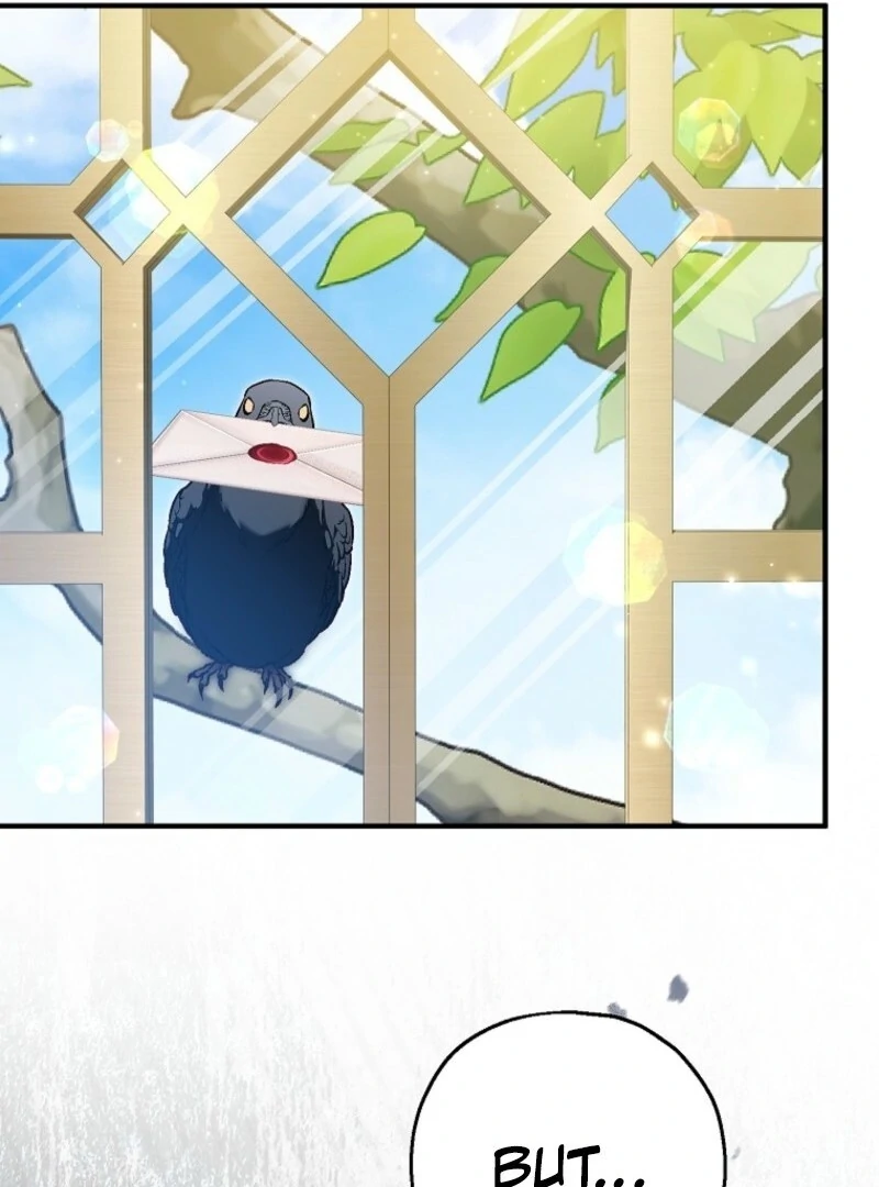 The Adopted Daughter-in-Law Wants to Leave Chapter 102 - Page 43