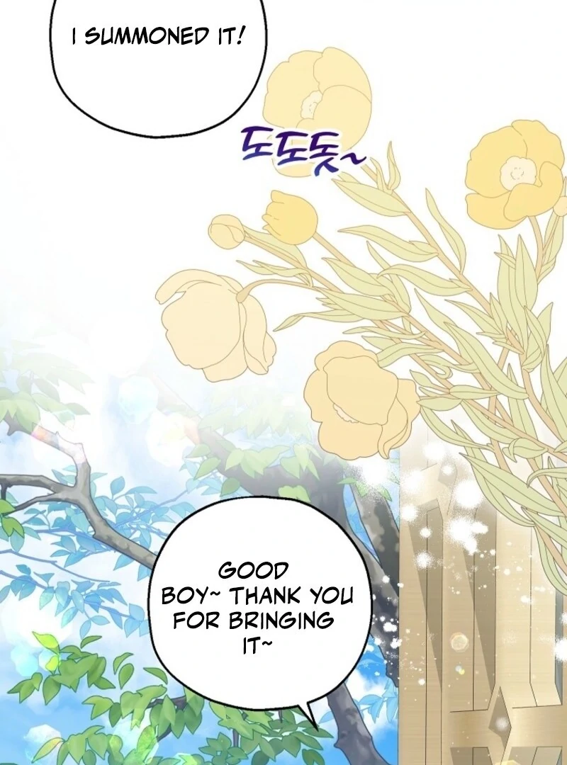 The Adopted Daughter-in-Law Wants to Leave Chapter 102 - Page 55