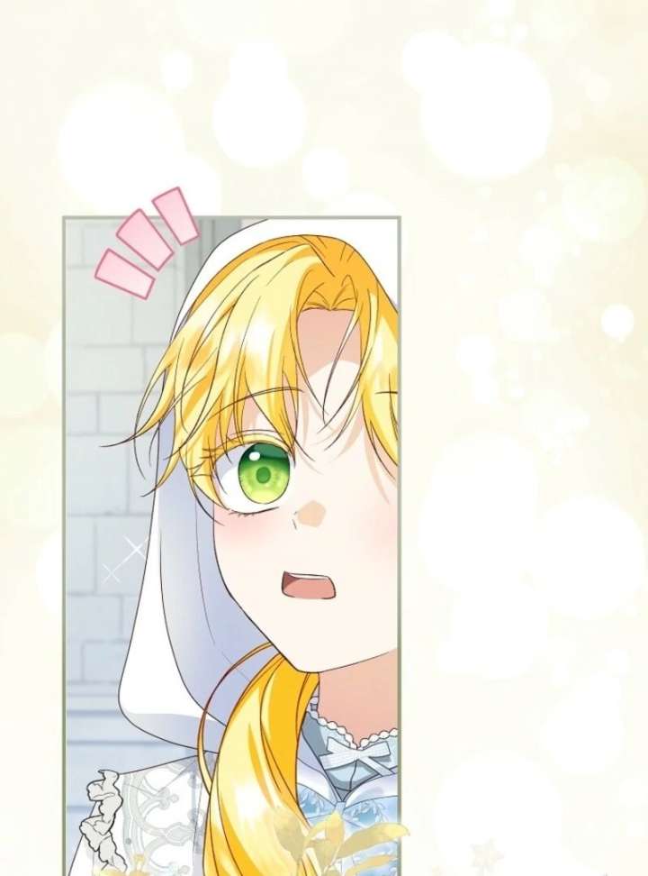 The Adopted Daughter-in-Law Wants to Leave Chapter 105 - Page 65