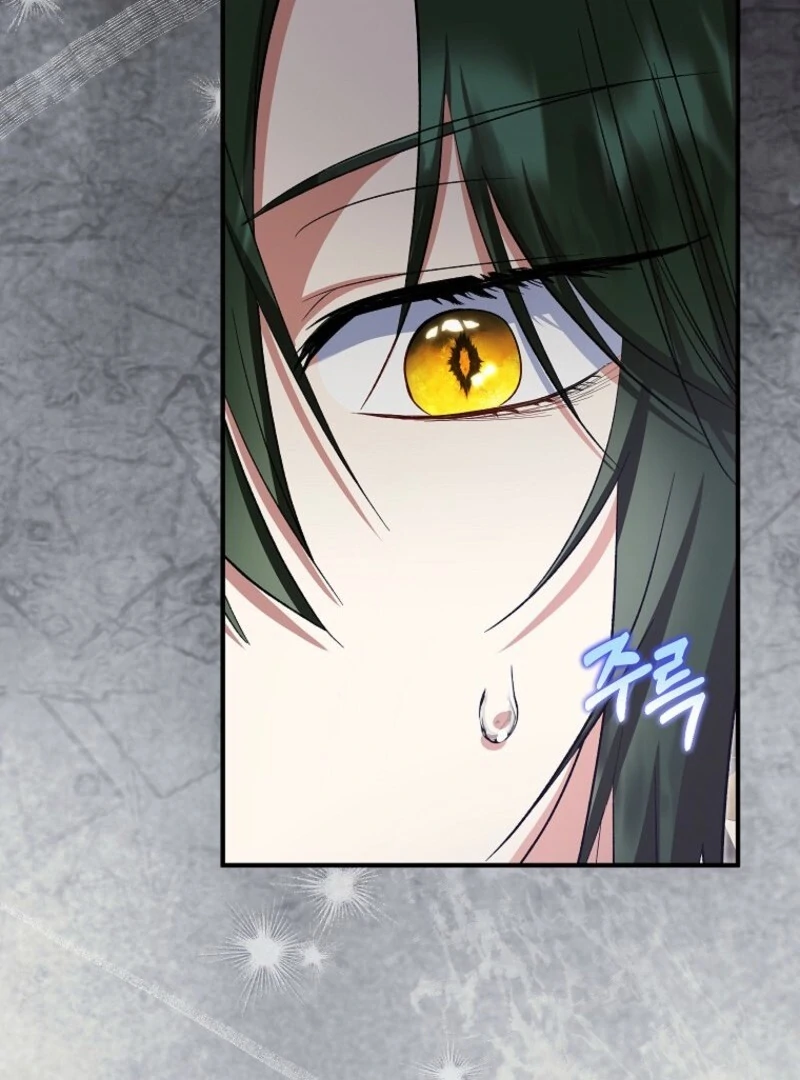 The Adopted Daughter-in-Law Wants to Leave Chapter 96 - Page 104