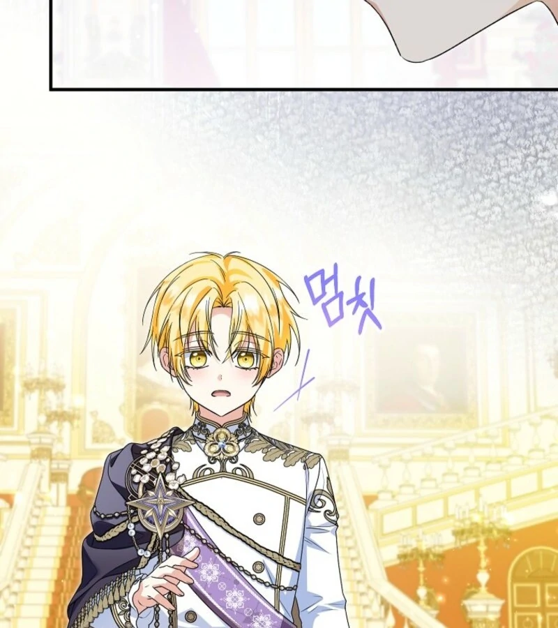 The Adopted Daughter-in-Law Wants to Leave Chapter 96 - Page 20