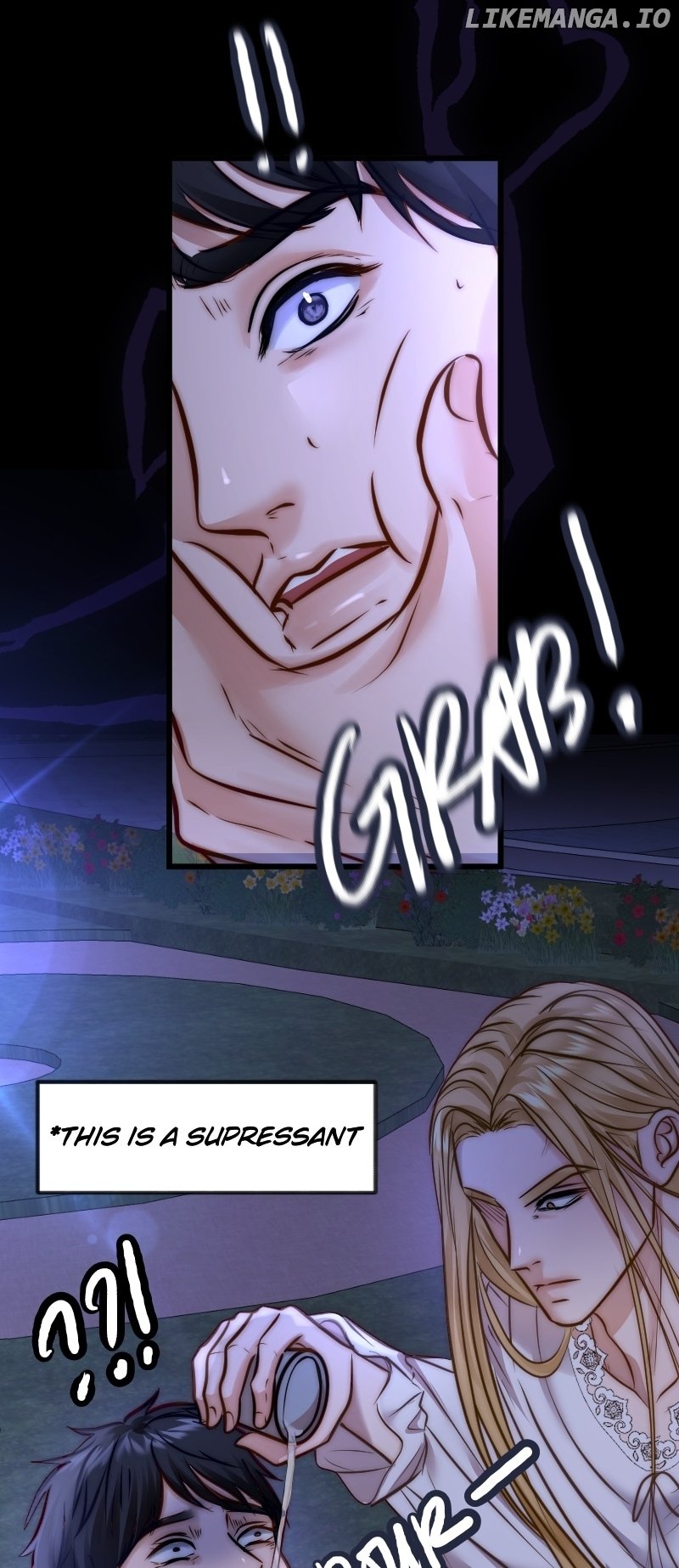 The Alpha’s Replacement Bride Chapter 37 - Page 17