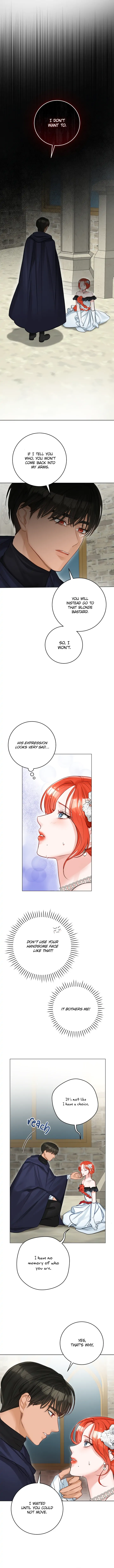 The Archduke’s Gorgeous Wedding Was a Fraud Chapter 33 - Page 8