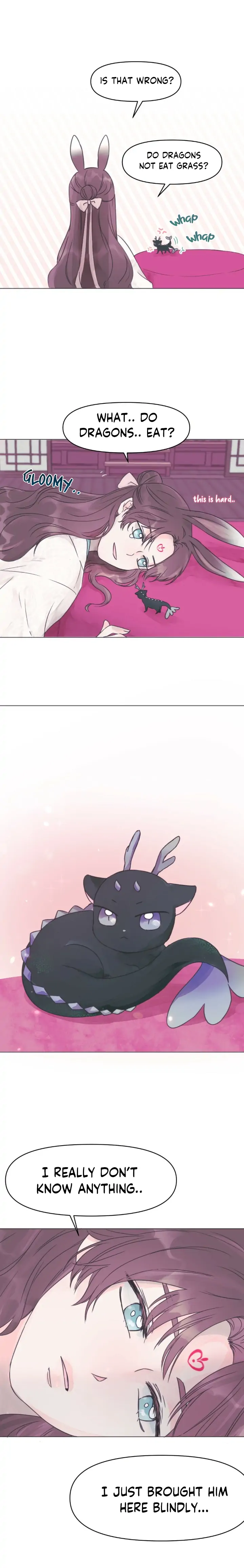 The Baby Dragon and the Rabbit Spirit Chapter 1 - Page 17