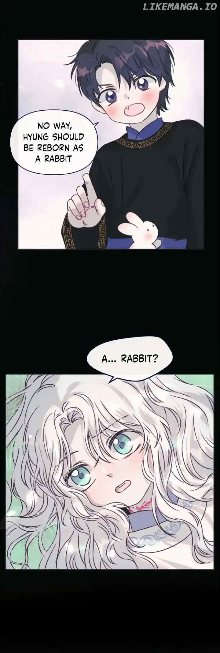 The Baby Dragon and the Rabbit Spirit Chapter 29 - Page 2