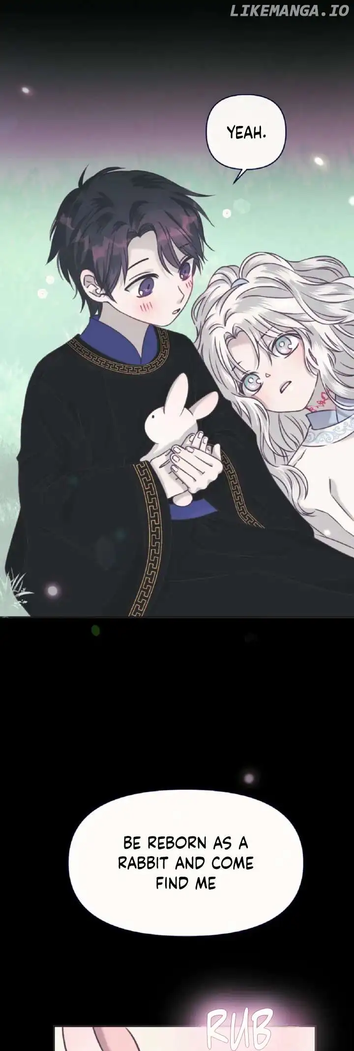 The Baby Dragon and the Rabbit Spirit Chapter 29 - Page 3