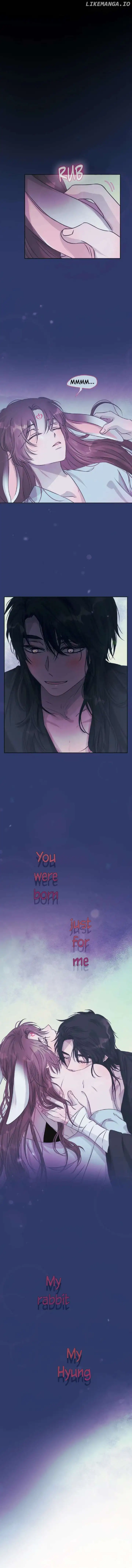 The Baby Dragon and the Rabbit Spirit Chapter 29 - Page 8