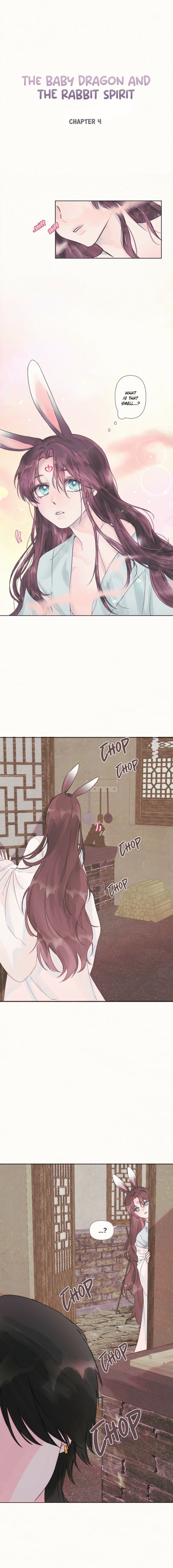 The Baby Dragon and the Rabbit Spirit Chapter 4 - Page 3