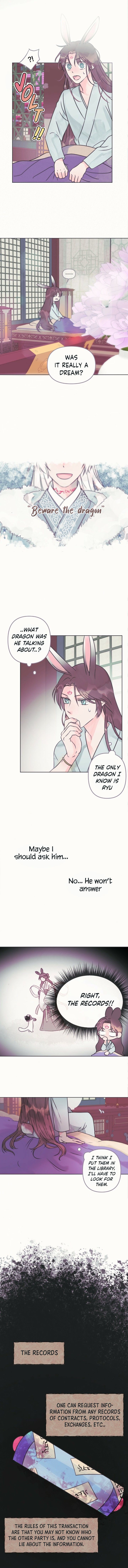 The Baby Dragon and the Rabbit Spirit Chapter 5 - Page 8