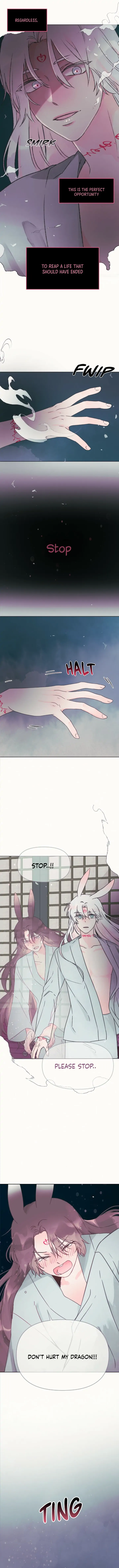 The Baby Dragon and the Rabbit Spirit Chapter 7 - Page 3