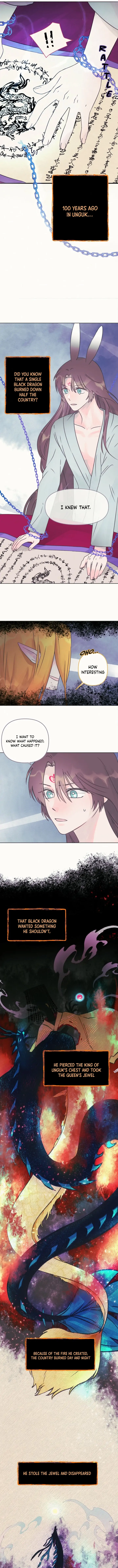 The Baby Dragon and the Rabbit Spirit Chapter 7 - Page 7