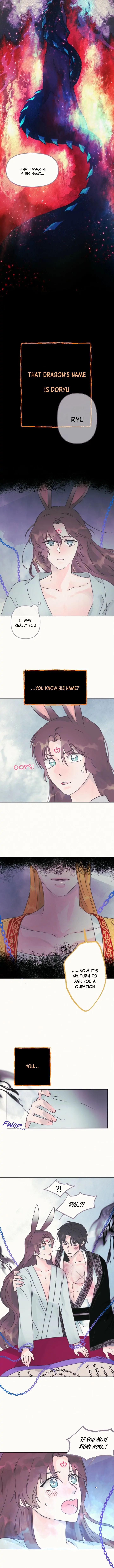 The Baby Dragon and the Rabbit Spirit Chapter 7 - Page 8