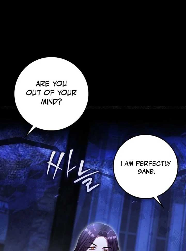 The Baby Fairy Is a Villain Chapter 33 - Page 15