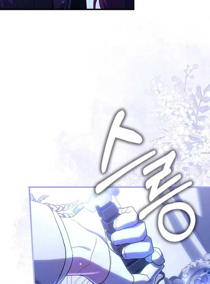 The Baby Fairy Is a Villain Chapter 33 - Page 33