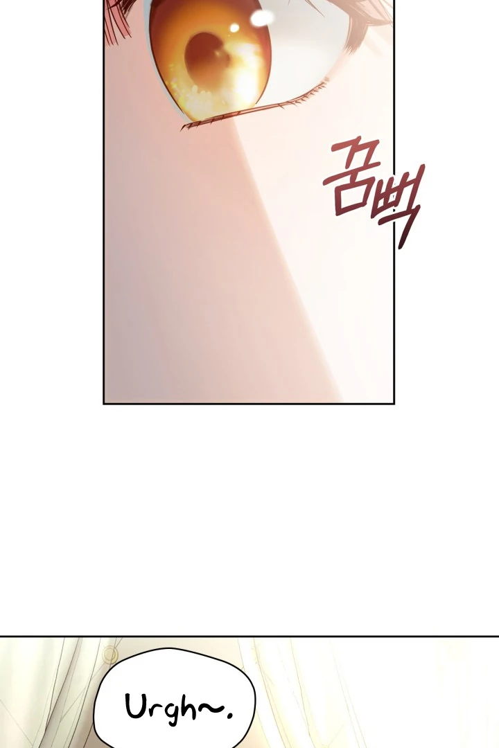 The Baby Prisoner in the Winter Castle Chapter 56 - Page 26